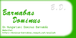 barnabas dominus business card